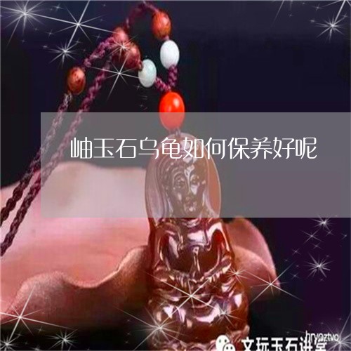 岫玉石乌龟如何保养好呢/2023061978160