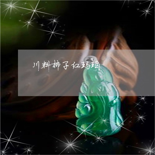 川料柿子红玛瑙/2023040339158 川料柿子红玛瑙/2023040339158