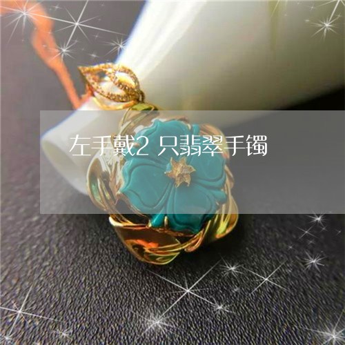 左手戴2只翡翠手镯/2023042107071