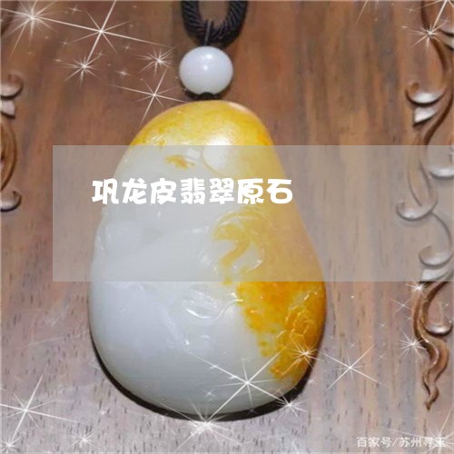 巩龙皮翡翠原石/2023040360492 巩龙皮翡翠原石/2023040360492