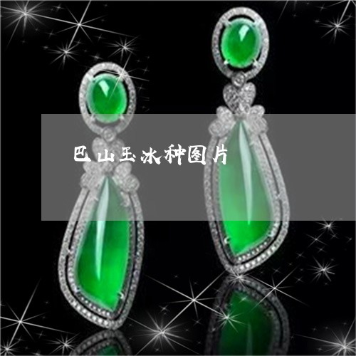 巴山玉冰种图片/2023040315938 巴山玉冰种图片/2023040315938