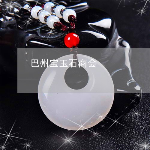巴州宝玉石商会/2023040300373