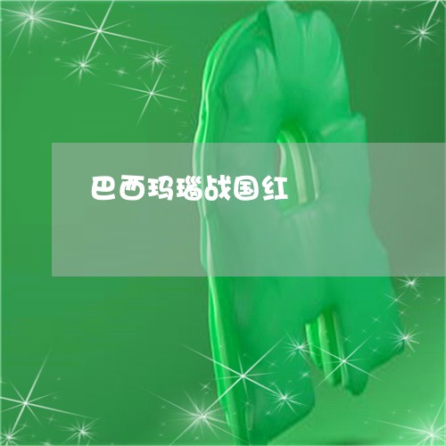 巴西玛瑙战国红/2023040325258