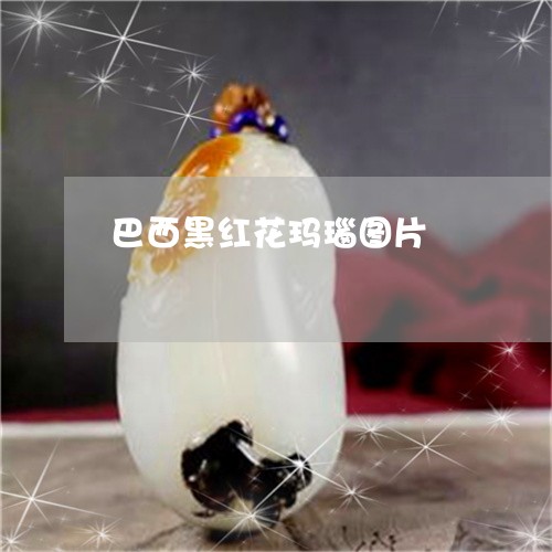巴西黑红花玛瑙图片/2023042191503 巴西黑红花玛瑙图片/2023042191503