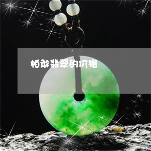 帕敢翡翠的价格/2023040353837