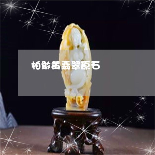 帕敢黄翡翠原石/2023040359494
