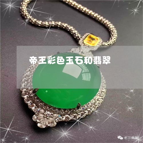 帝王彩色玉石和翡翠/2023042148461 帝王彩色玉石和翡翠/2023042148461