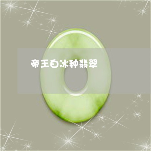 帝王白冰种翡翠/2023040399492