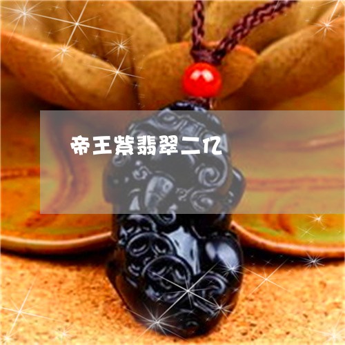 帝王紫翡翠二亿/2023040363825 帝王紫翡翠二亿/2023040363825