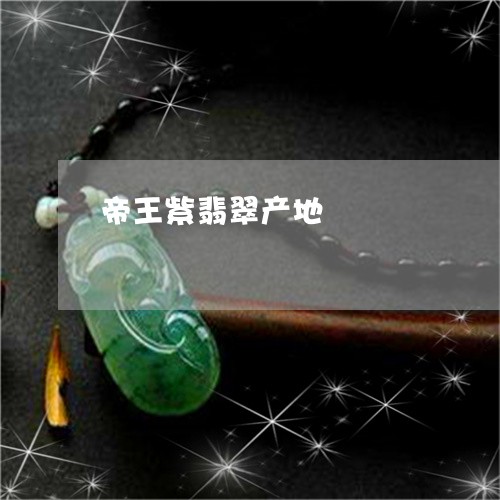 帝王紫翡翠产地/2023040348361 帝王紫翡翠产地/2023040348361
