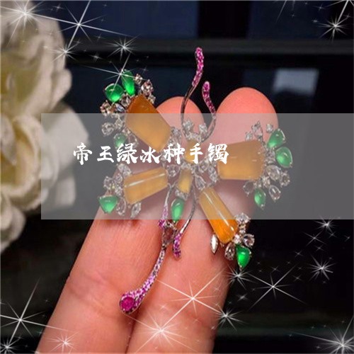帝王绿冰种手镯/2023040328261 帝王绿冰种手镯/2023040328261