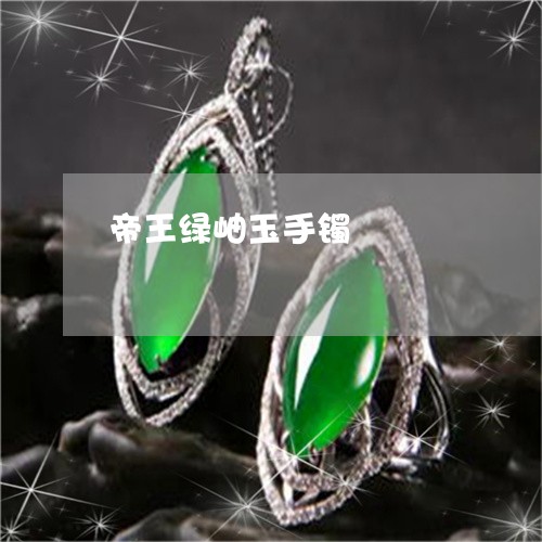 帝王绿岫玉手镯/2023040349450 帝王绿岫玉手镯/2023040349450