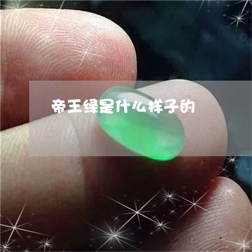 帝王绿是什么样子的/2023042119371