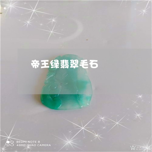 帝王绿翡翠毛石/2023040339614
