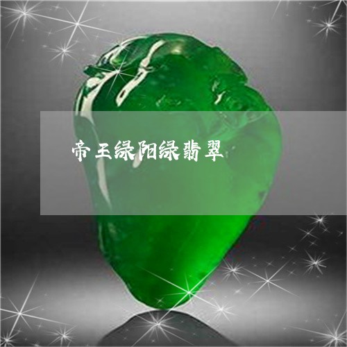 帝王绿阳绿翡翠/2023040330471 帝王绿阳绿翡翠/2023040330471