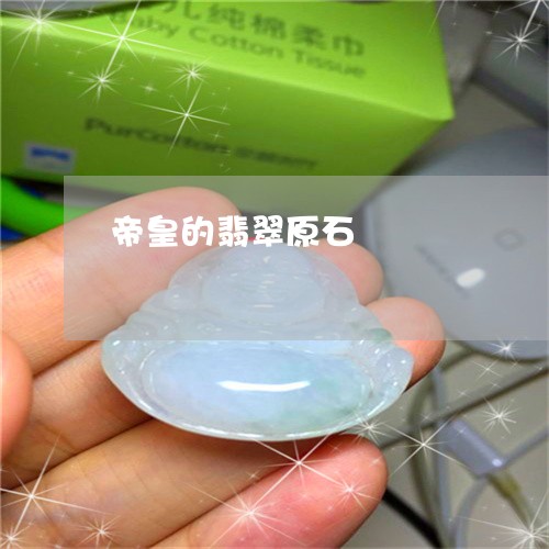 帝皇的翡翠原石/2023040326250