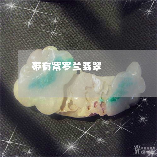 带有紫罗兰翡翠/2023040328260 带有紫罗兰翡翠/2023040328260