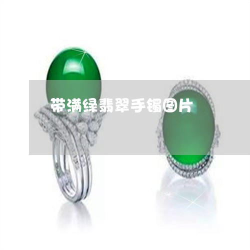 带满绿翡翠手镯图片/2023042095038 带满绿翡翠手镯图片/2023042095038