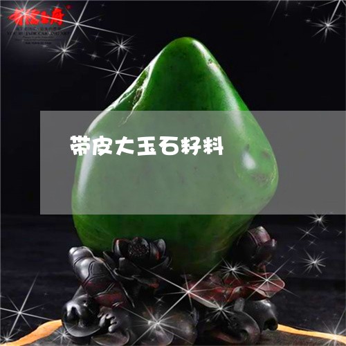 带皮大玉石籽料/2023040309369 带皮大玉石籽料/2023040309369