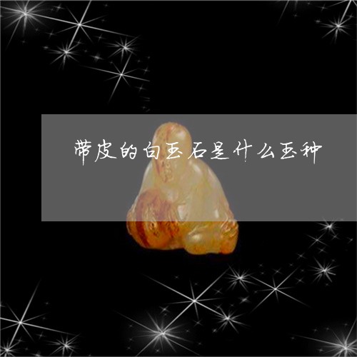 带皮的白玉石是什么玉种/2023061861036