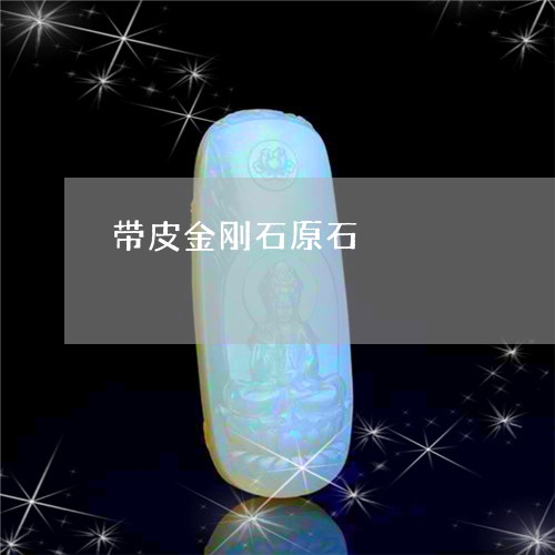 带皮金刚石原石/2023040383915 带皮金刚石原石/2023040383915
