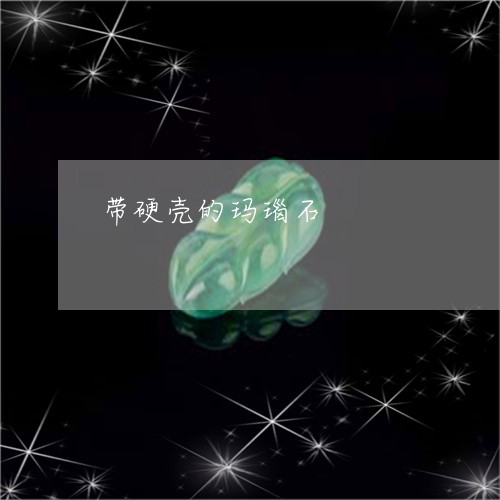 带硬壳的玛瑙石/2023040331604 带硬壳的玛瑙石/2023040331604