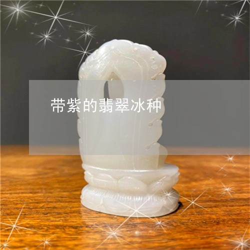 带紫的翡翠冰种/2023040352615 带紫的翡翠冰种/2023040352615