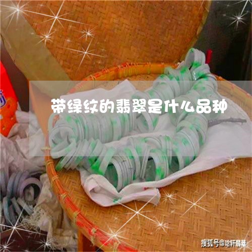 带绿纹的翡翠是什么品种/2023061837060