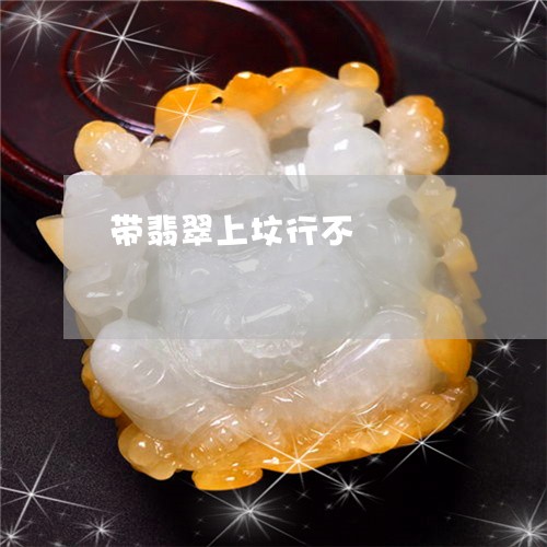 带翡翠上坟行不/2023040356369 带翡翠上坟行不/2023040356369