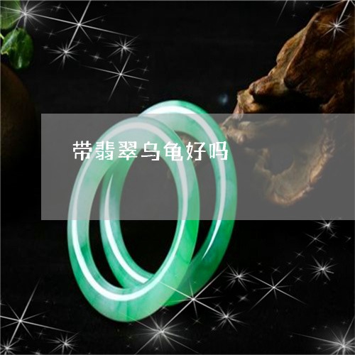 带翡翠乌龟好吗/2023040342694 带翡翠乌龟好吗/2023040342694