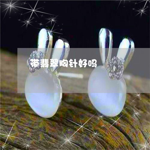 带翡翠胸针好吗/2023040383926 带翡翠胸针好吗/2023040383926