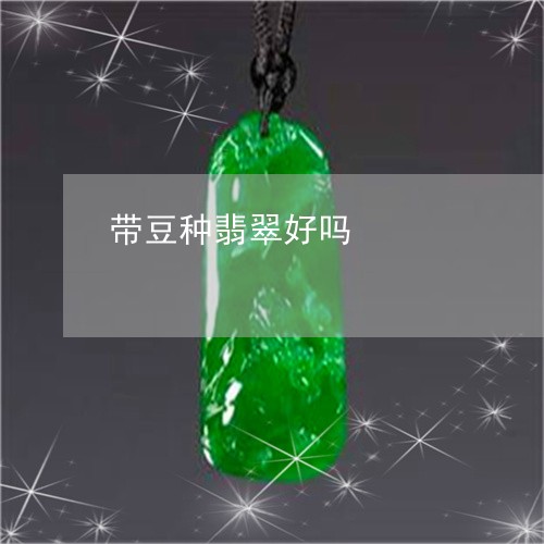 带豆种翡翠好吗/2023040361703