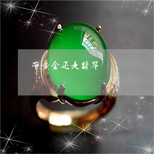 带黄金还是翡翠/2023040349560 带黄金还是翡翠/2023040349560