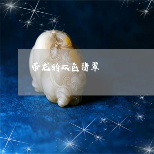 带龙的双色翡翠/2023040330261 带龙的双色翡翠/2023040330261