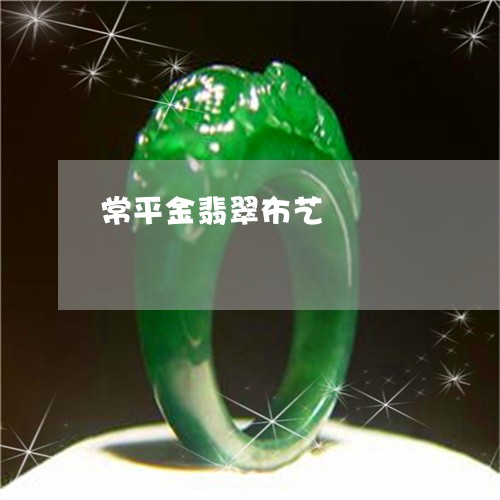 常平金翡翠布艺/2023040329271