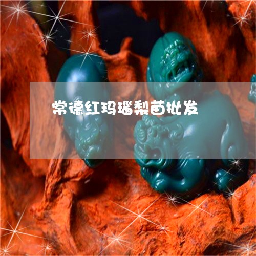 常德红玛瑙梨苗批发