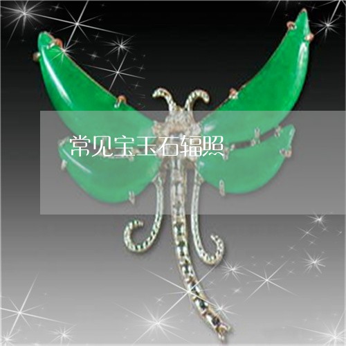 常见宝玉石辐照/2023040386958 常见宝玉石辐照/2023040386958