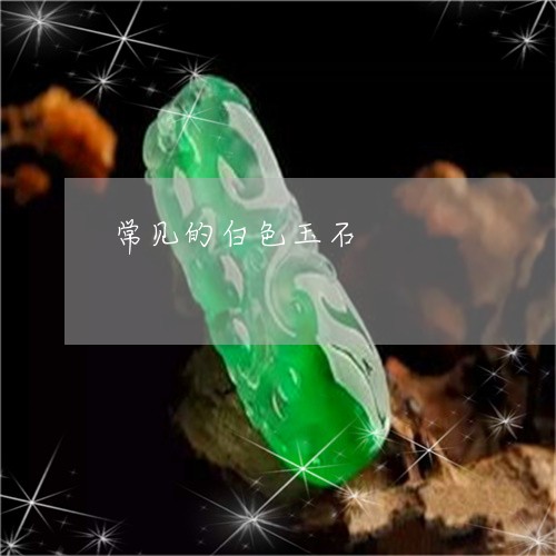 常见的白色玉石/2023040394957 常见的白色玉石/2023040394957