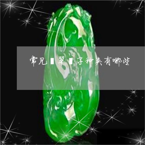 常见翡翠镯子种类有哪些/2023060908271