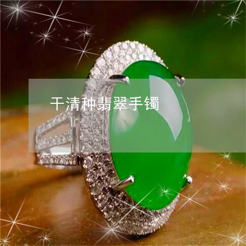 干清种翡翠手镯/2023040351473