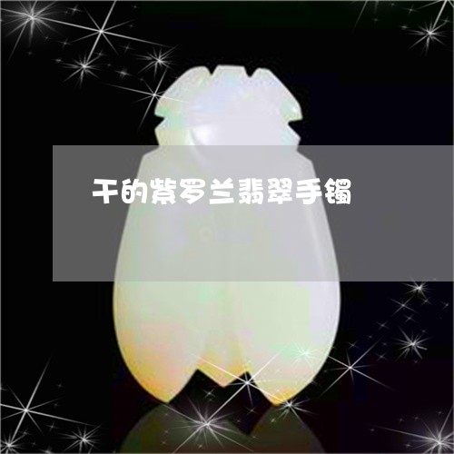 干的紫罗兰翡翠手镯/2023042043628 干的紫罗兰翡翠手镯/2023042043628