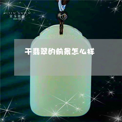 干翡翠的前景怎么样/2023042015839