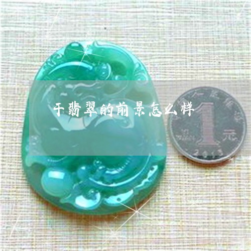 干翡翠的前景怎么样/2023042029392