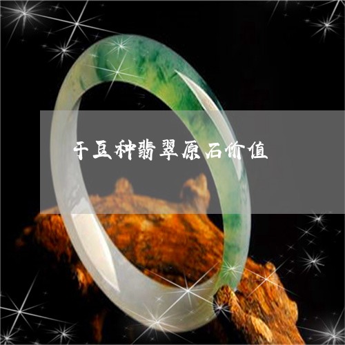 干豆种翡翠原石价值/2023042049360