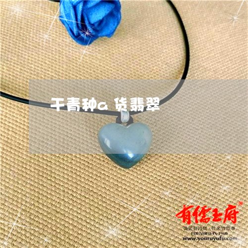 干青种a货翡翠/2023040362816