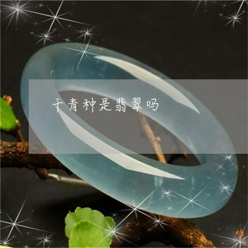 干青种是翡翠吗/2023040383949