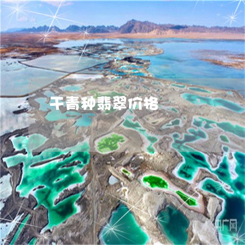 干青种翡翠价格/2023040306572 干青种翡翠价格/2023040306572