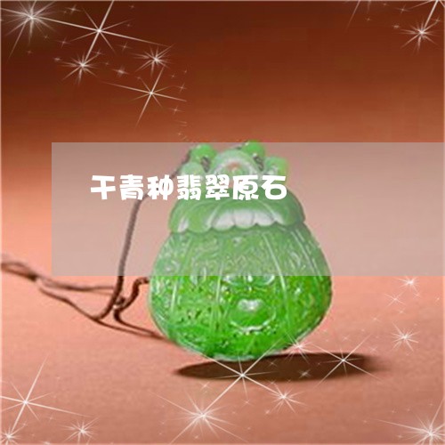干青种翡翠原石/2023040337273 干青种翡翠原石/2023040337273