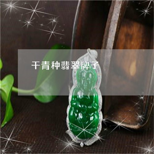 干青种翡翠牌子/2023040328370