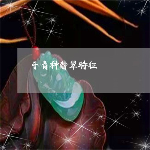 干青种翡翠特征/2023040325148 干青种翡翠特征/2023040325148